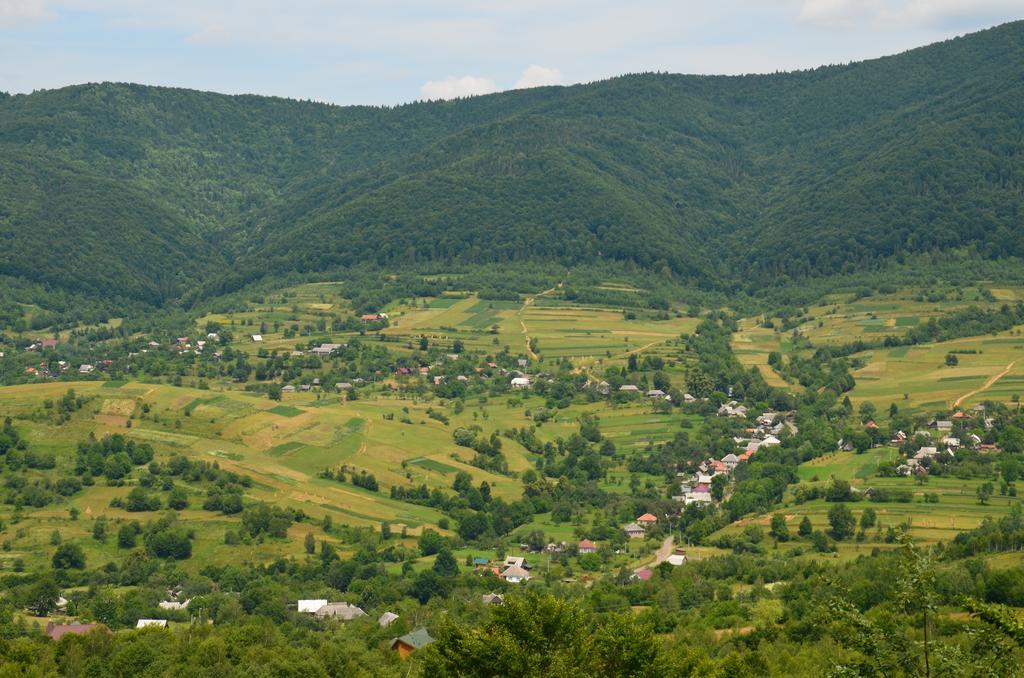 Teremok Guest House Viharos Kültér fotó