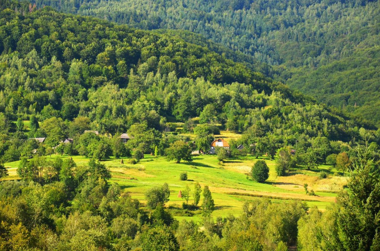 Teremok Guest House Viharos Kültér fotó