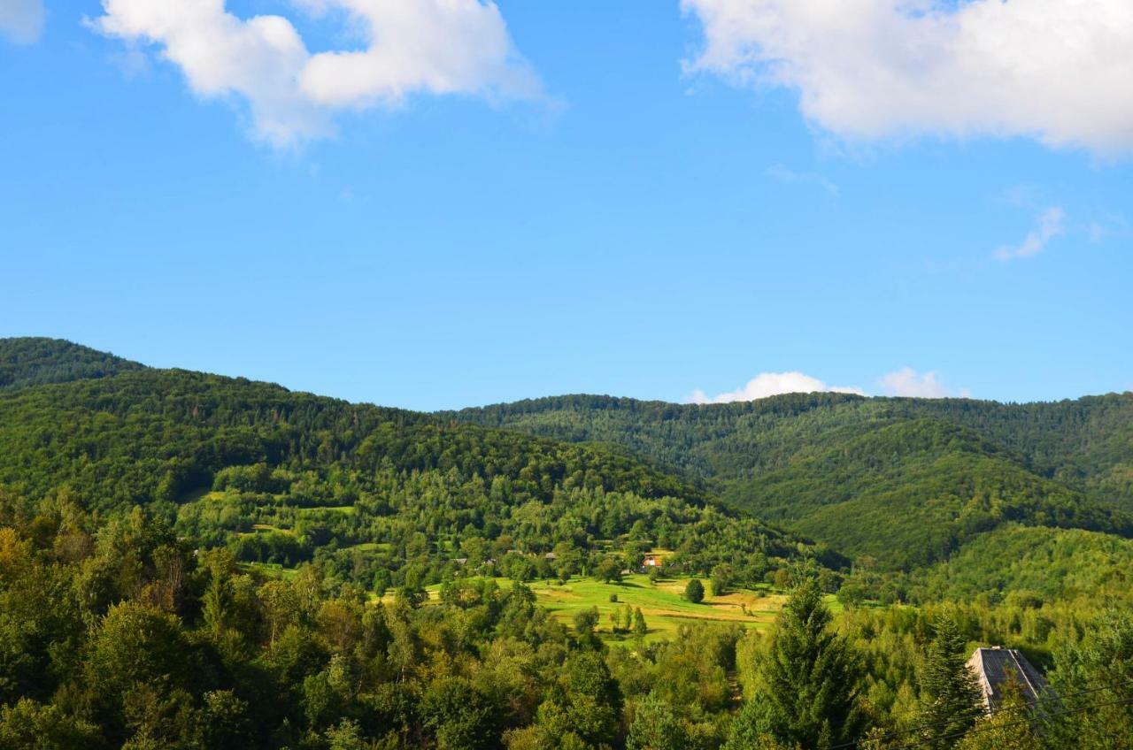 Teremok Guest House Viharos Kültér fotó